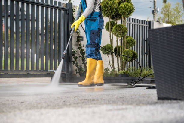Best Gutter Cleaning  in Dayton, VA
